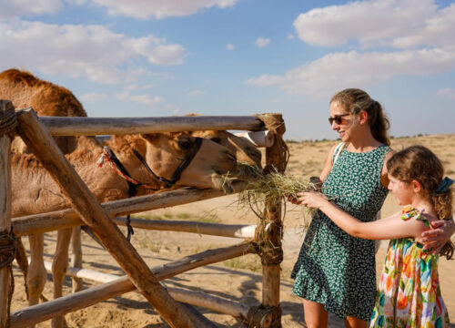 Safari jeepami w Marsa Alam