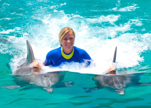 Schwimmen mit Delfinen